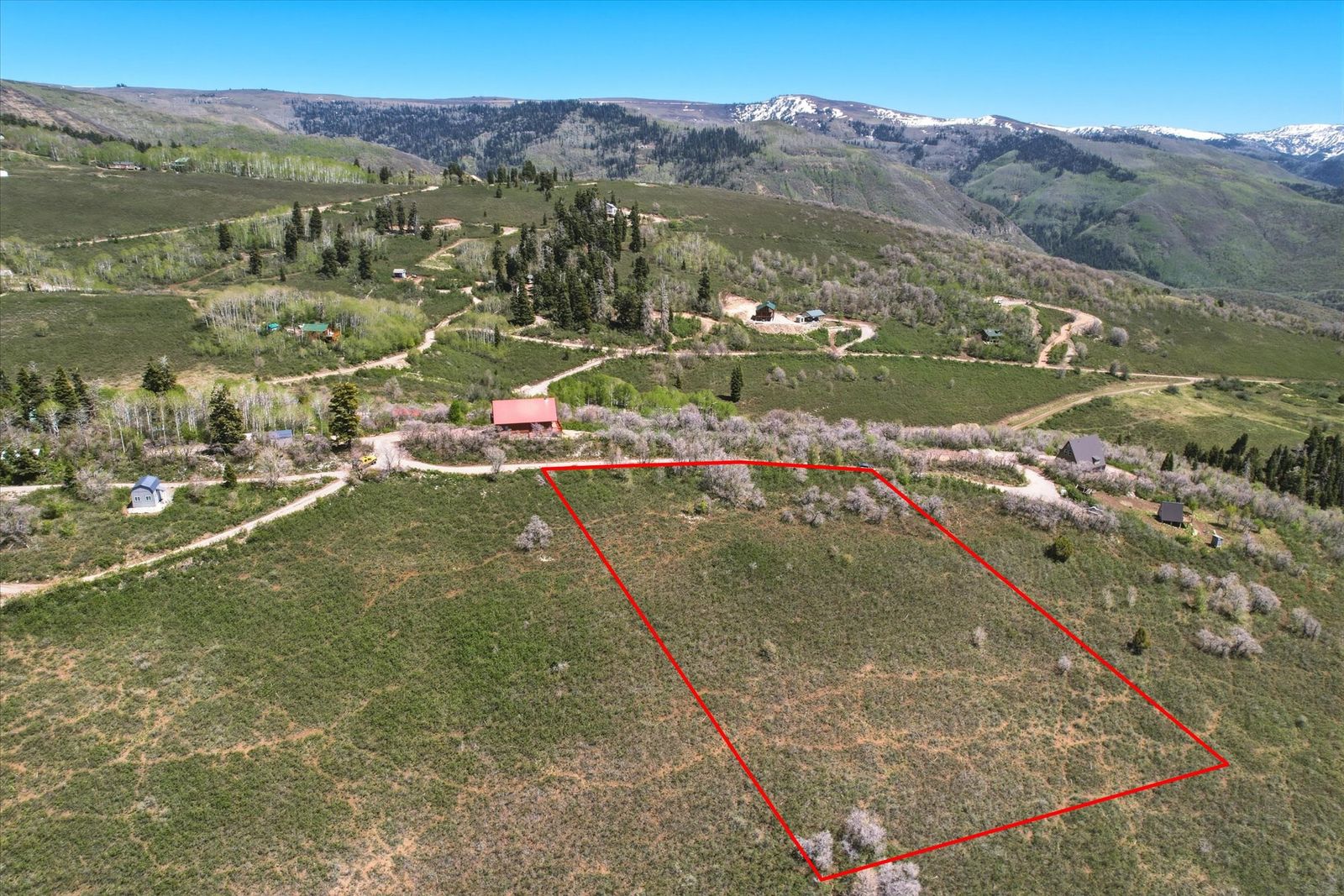 Main image 7
