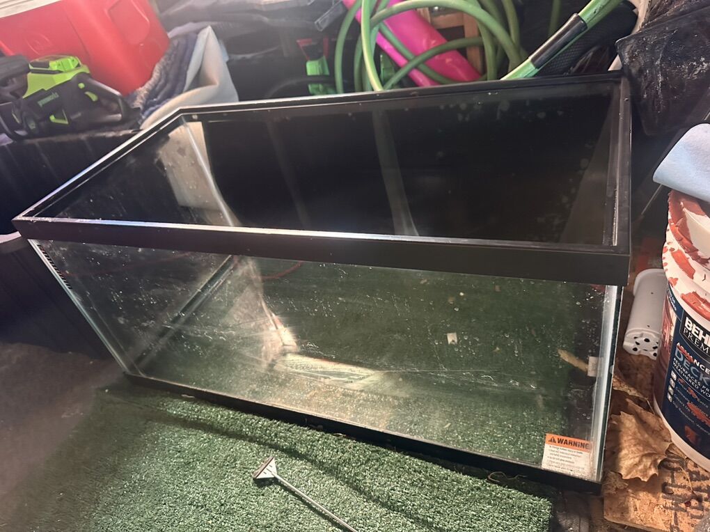 40 Gallon breeder Aquarium