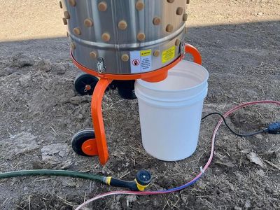 Chicken plucker rental