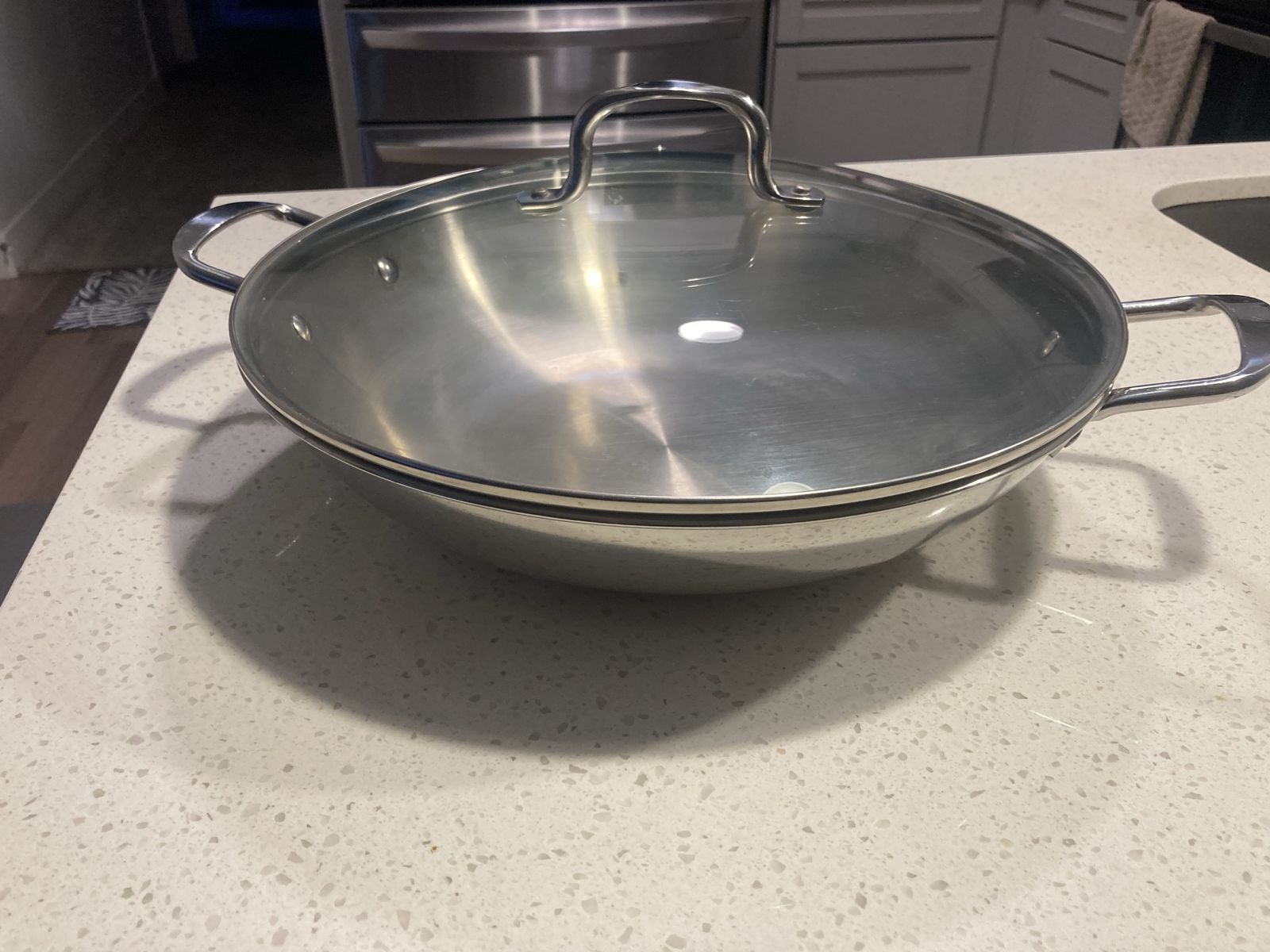 SALT 14-Inch Stainless Steel Pan