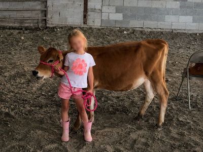 Bottle Calf Project- Jersey Heifer