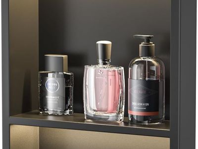 18" x 12" LED Shower Niche - Black Stainless Steel