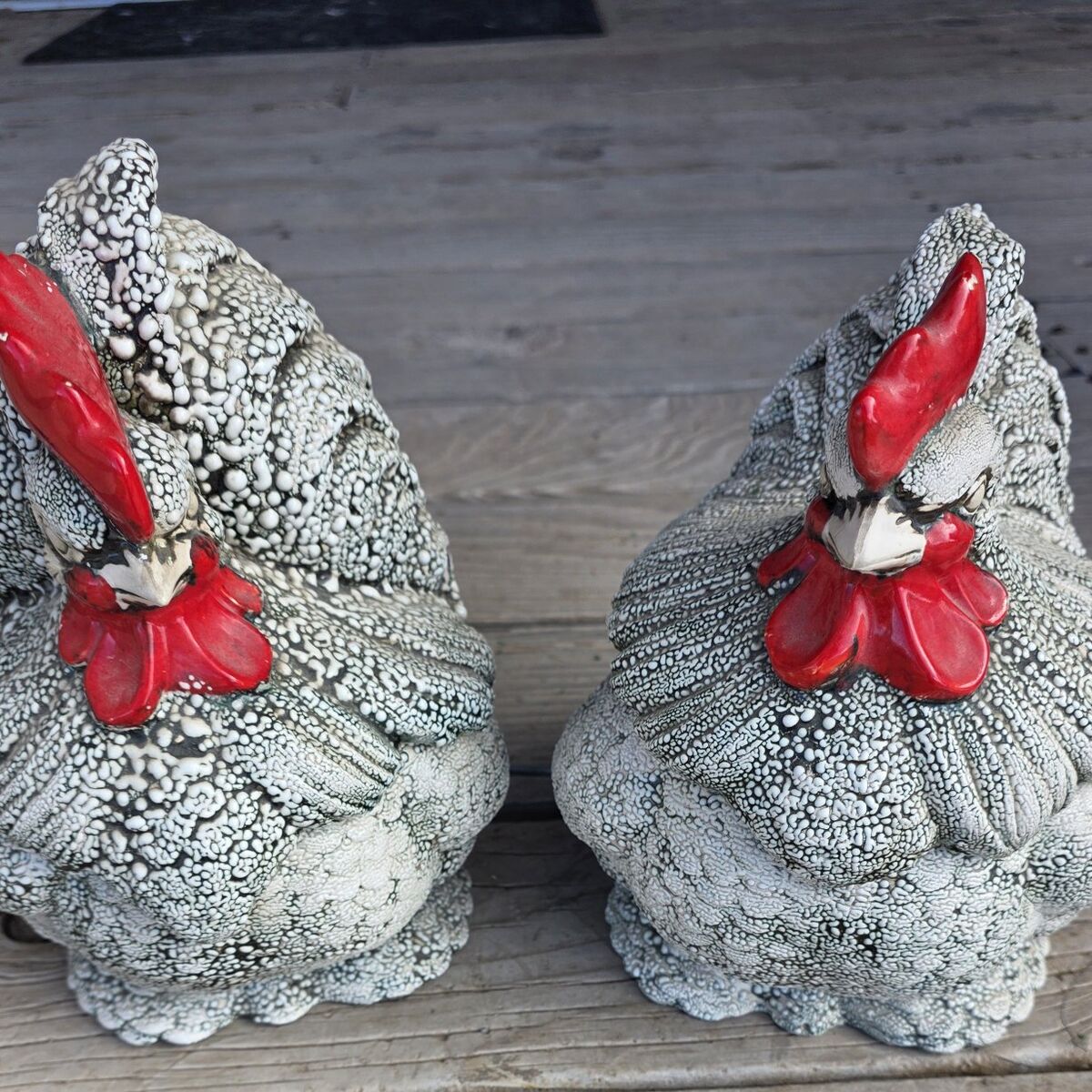 in search of CALL DUCK Only, eggs chicks or adults