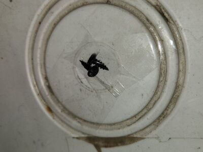 all kinds of fasteners