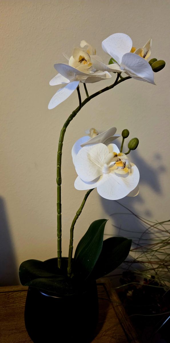 Main image 4