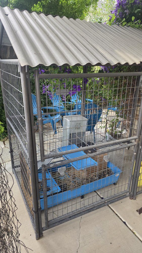Large Outdoor Pet Enclosure -