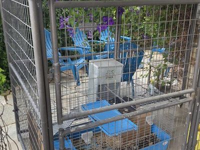 Large Outdoor Pet Enclosure -