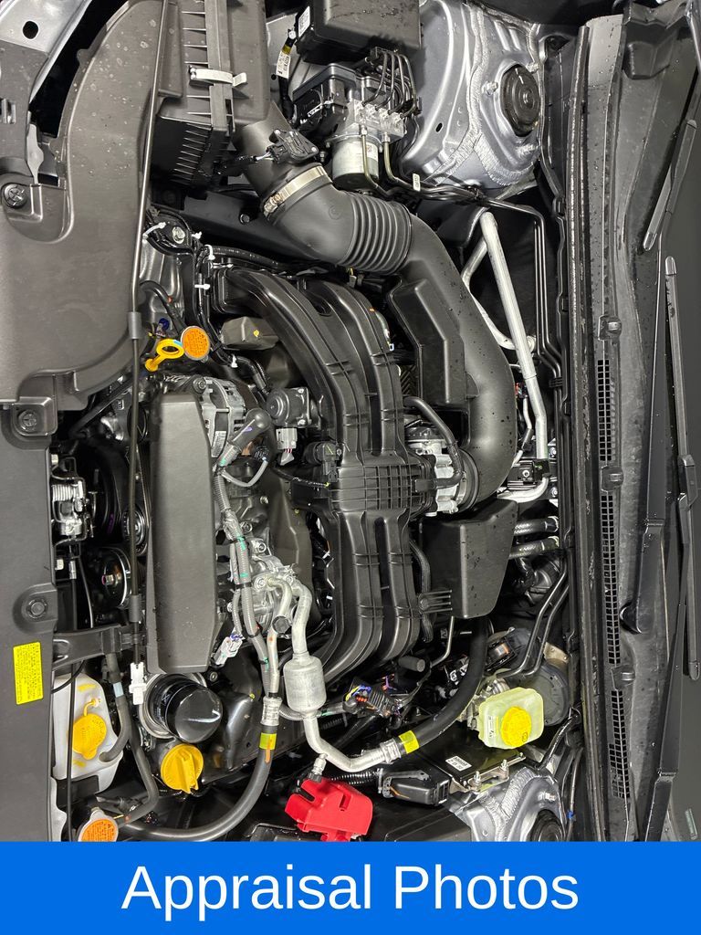 Main image 4