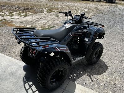 2025 Kawasaki Brute Force 300
