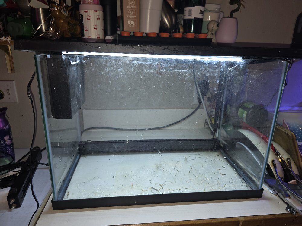 30gal Aquarium