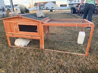 Rabbit Cage + Two Mini Holland Lops + Accessories