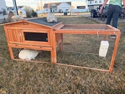 Rabbit Cage + Two Mini Holland Lops + Accessories