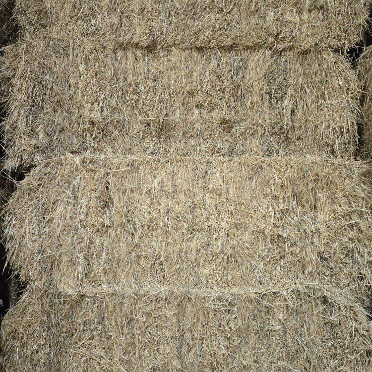 Barley straw 10 bales