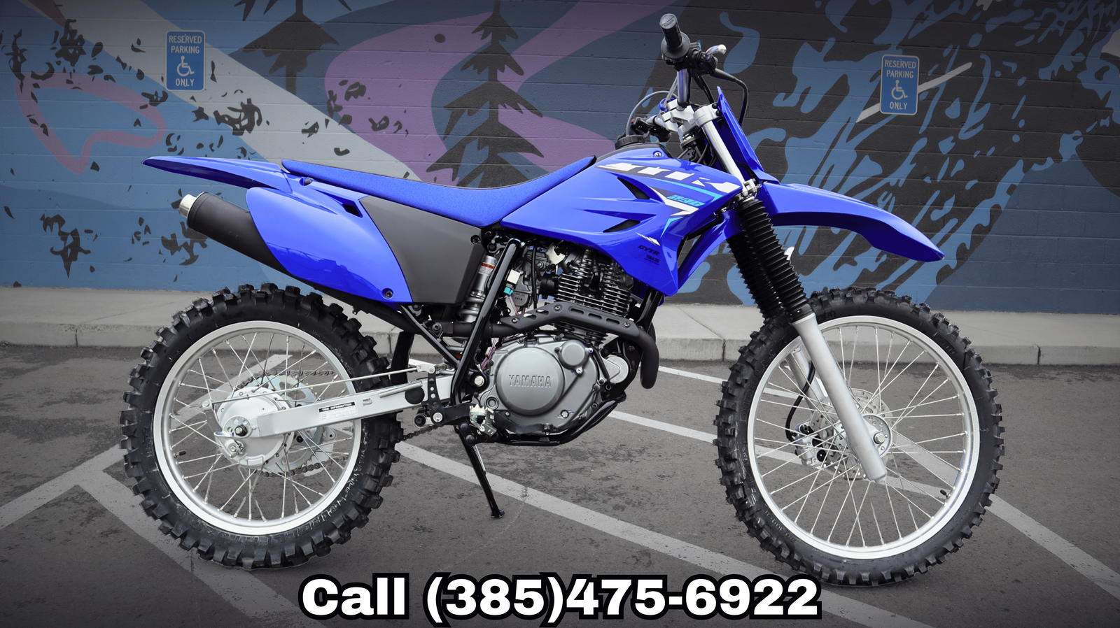 2026 YAMAHA TT R230