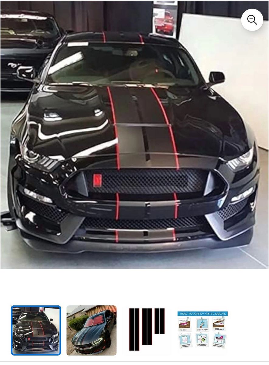 Racing Stripes (Brand New)