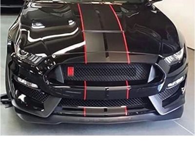Racing Stripes (Brand New)