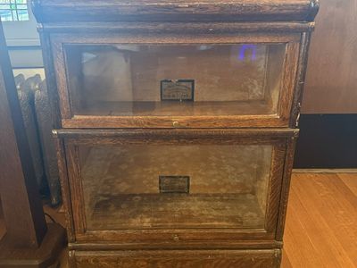 Antique Globe Wernicke Bookcase