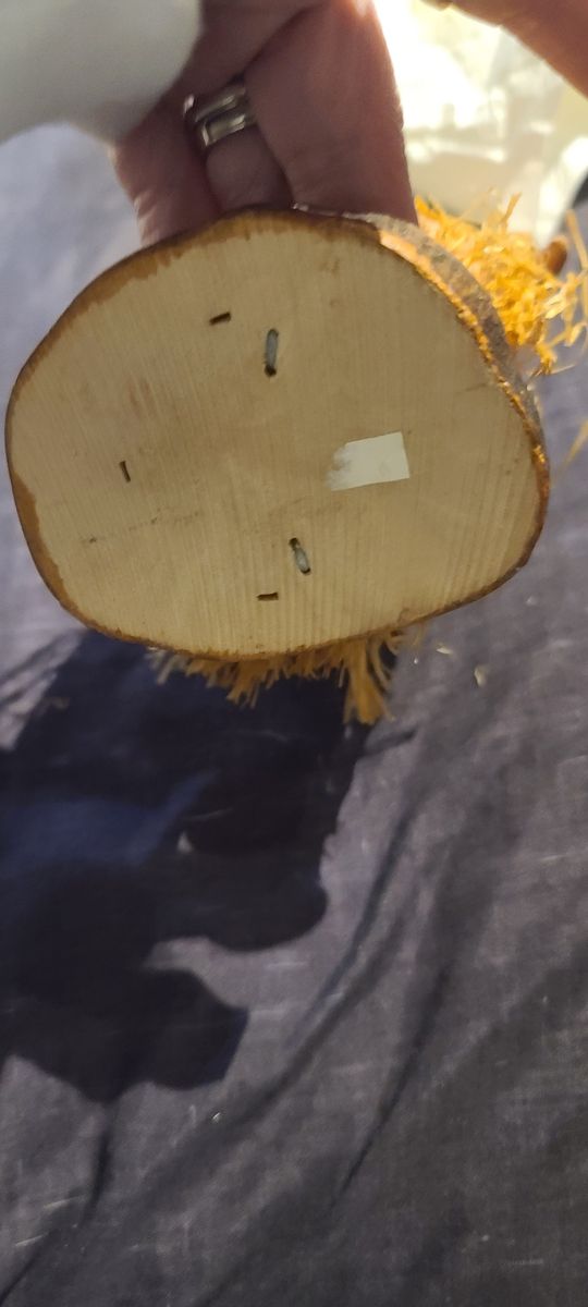 Main image 3
