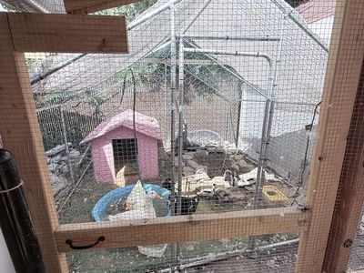 Large Outdoor Walk-In Chicken Coop/Run - Secure Poultry Enclosure