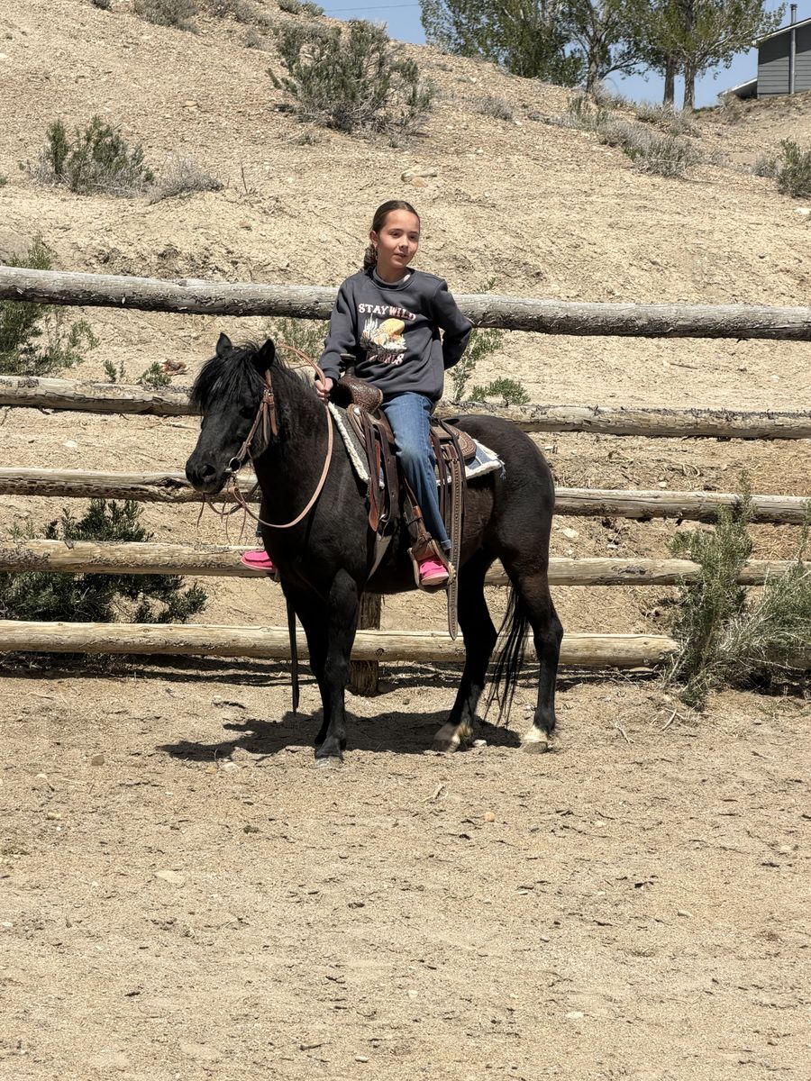 Pony Mare