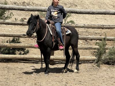 Pony Mare