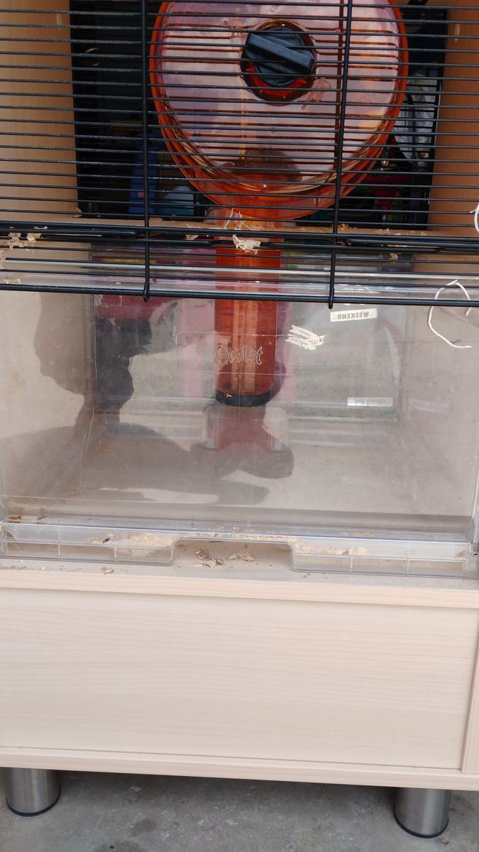 Main image 2