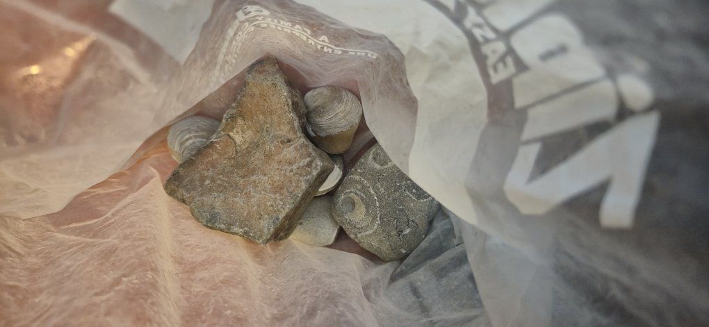 Main image 13
