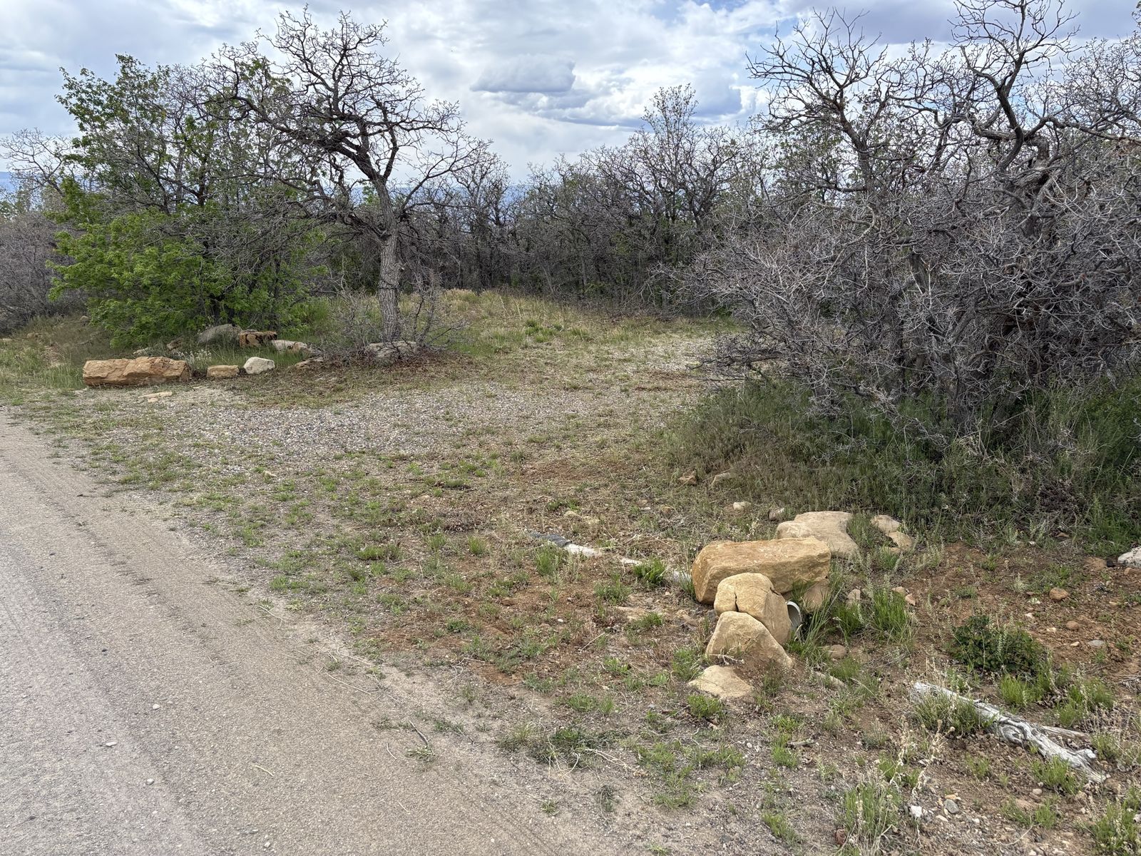 Main image 2