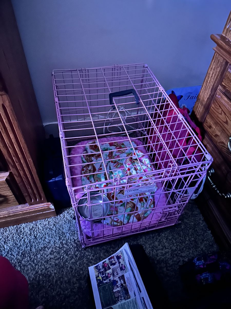 Pink Dog Crate