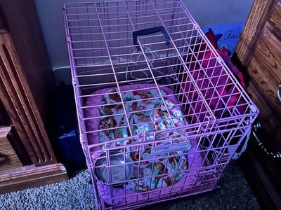 Pink Dog Crate