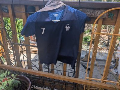 2018 France world Cup jersey greizman