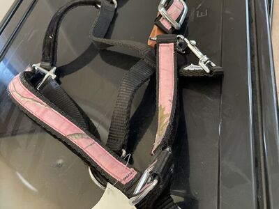 Horse Halter - Pastel Pink Realtree