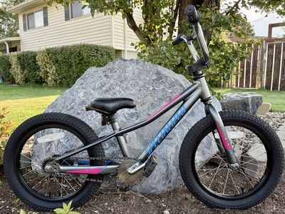16” RipRock Specialized Bike