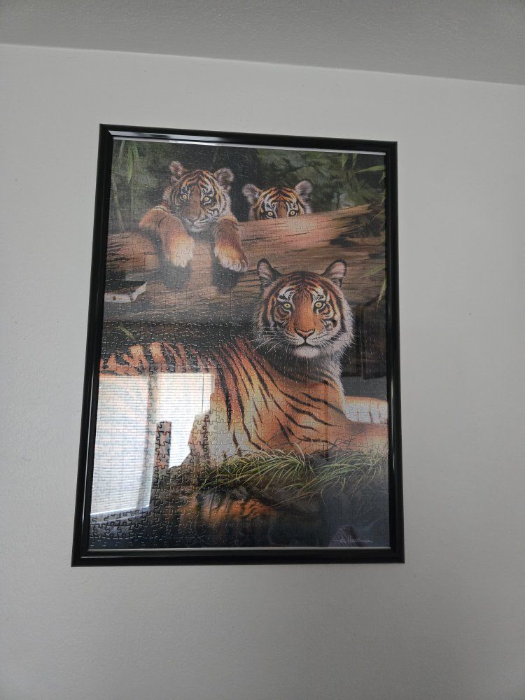 Tiger puzzle picture
