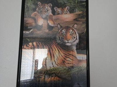 Tiger puzzle picture