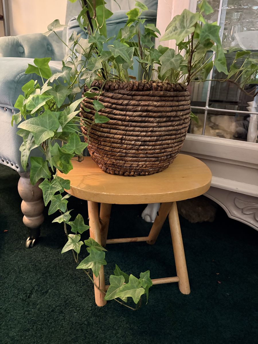 Vintage Nevco Foldn Carry Stool