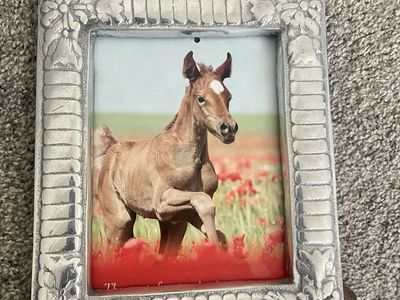 Pewter, Embossed Floral Picture Frame - Holds 5x7" Photo