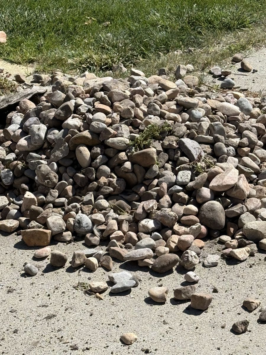 Free rocks!