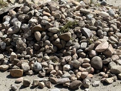 Free rocks!