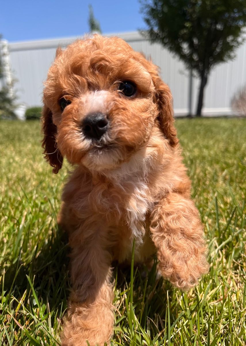 Main image 6