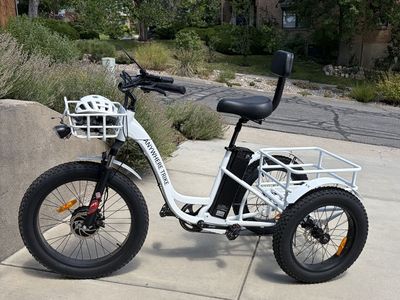 2022 Anywhere Trike electric 500w bafang Low Miles