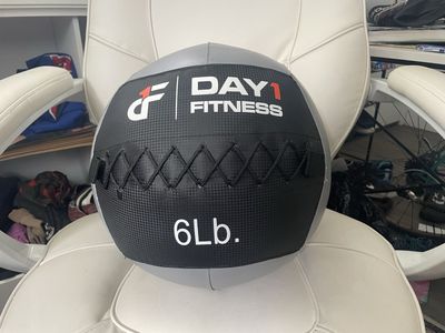 Day1 Fitness Professional 6LB Wall Ball
