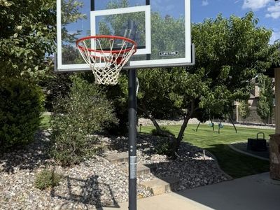 Lifetime Adjustable Basketball Hoop