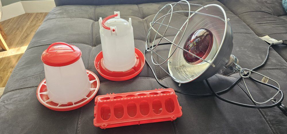 Backyard Chicken Beginner Supply Kit