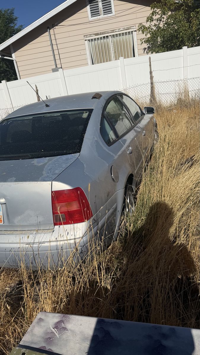 Passat 