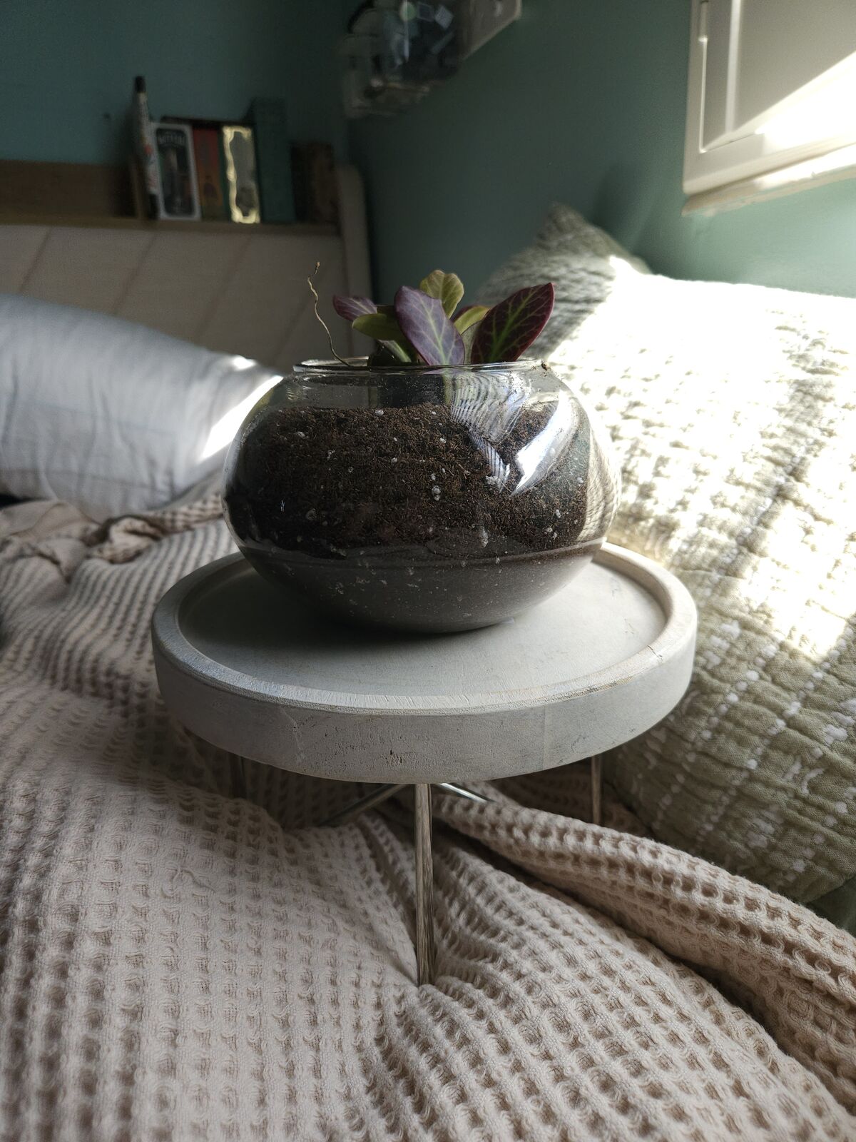 Pottery Barn Plant Stand