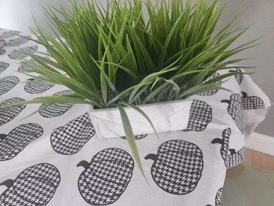 none killing house plant