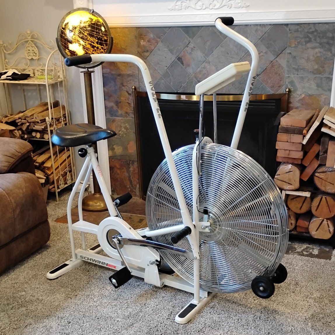 Schwinn airdyne assault exercise bike dual action