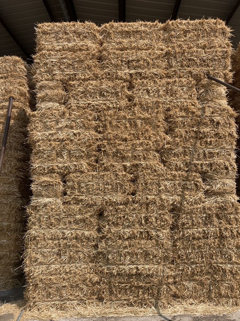 Straw Clean And Bright