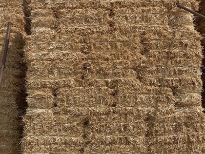 Straw Clean And Bright